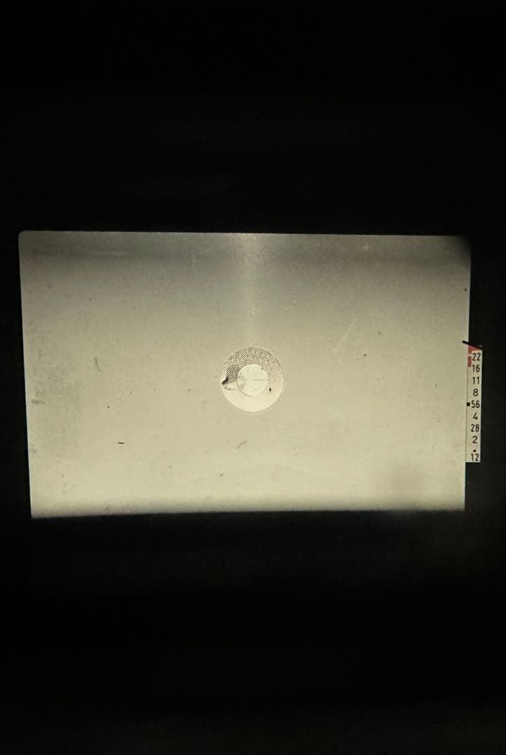 Canon AE-1 ￼ボディとストラップのみ