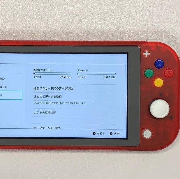 Nintendo Switch Lite 本体 動作品 おまけ付き