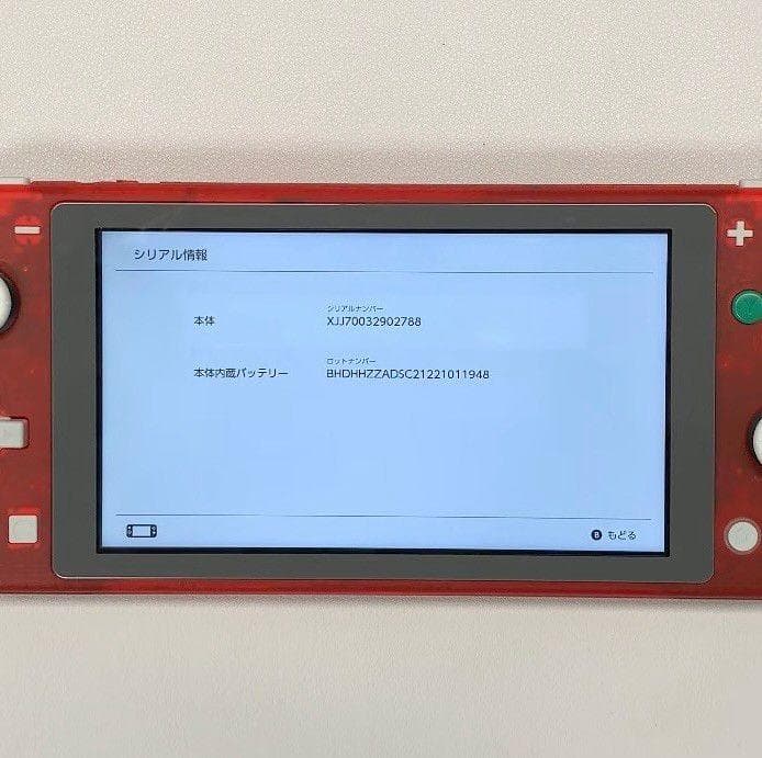 Nintendo Switch Lite 本体 動作品 おまけ付き