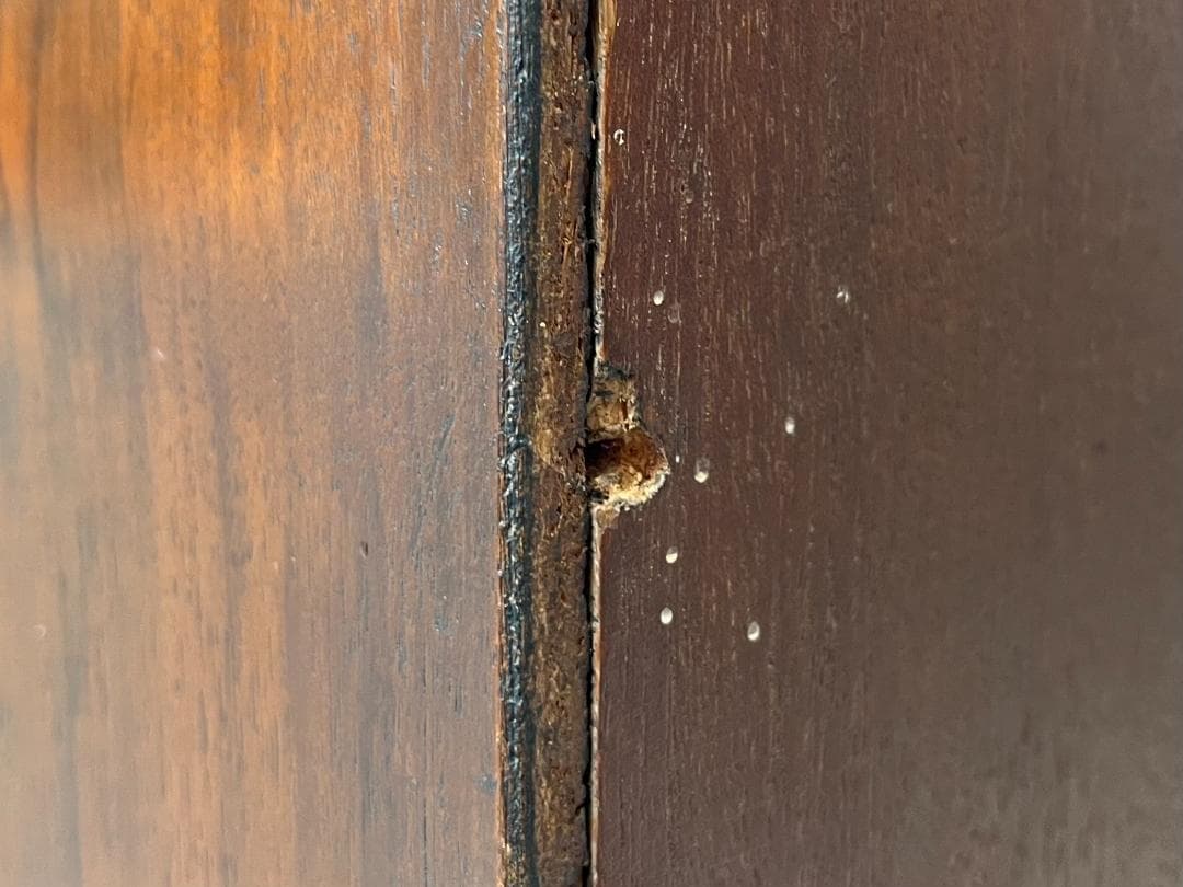 スペイン最高峰☆バロッサバレンティ社／トールチェスト／マホガニー材／IDC大塚