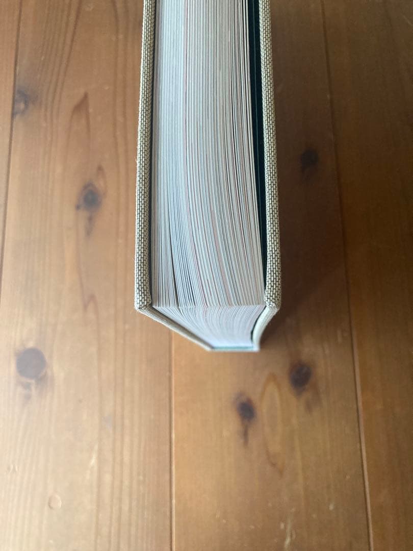 洋書 Wegner: Just One Good Chair