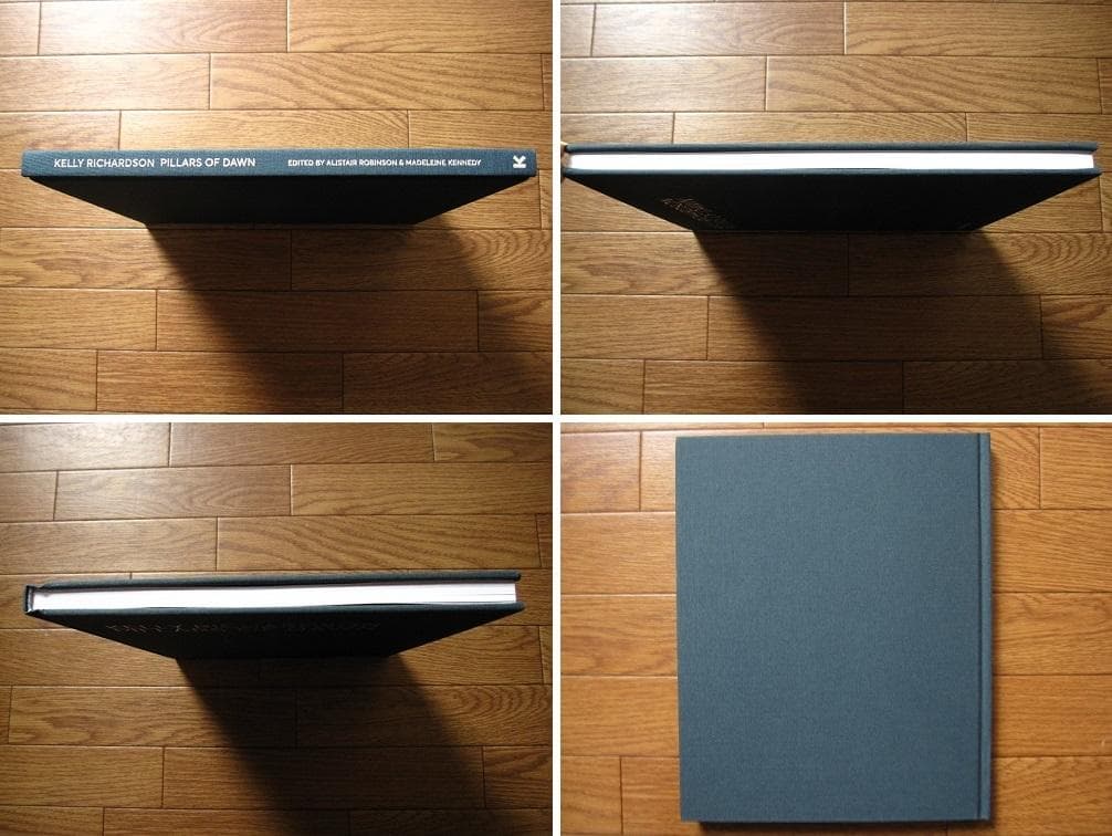 Kelly Richardson　Pillars of Dawn