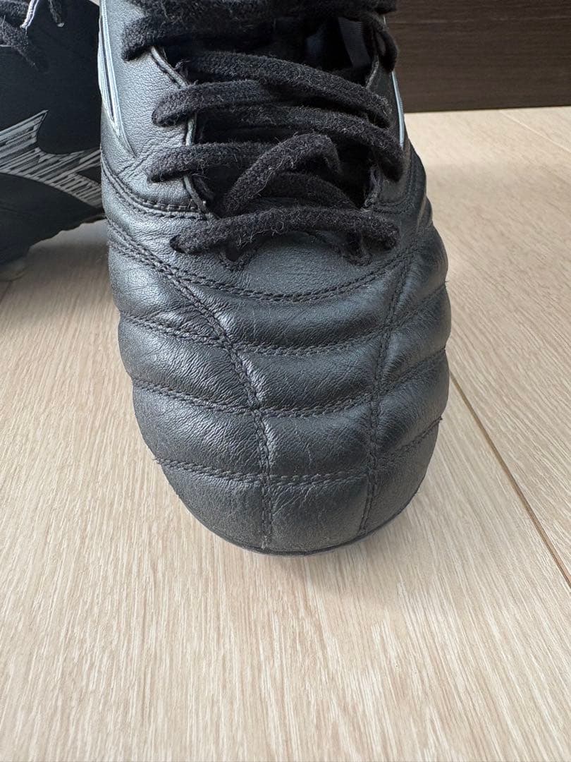 モレリアネオ　Ⅳ 25cm