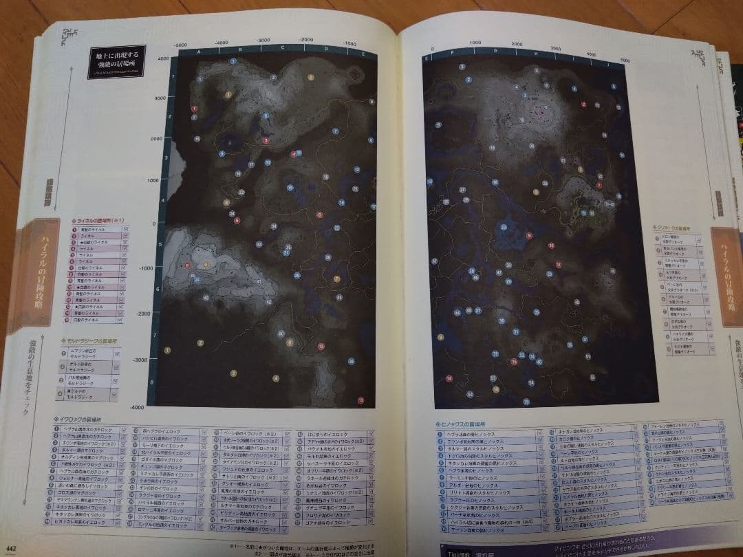 ゼルダの伝説 ティアーズ オブ ザ キングダム