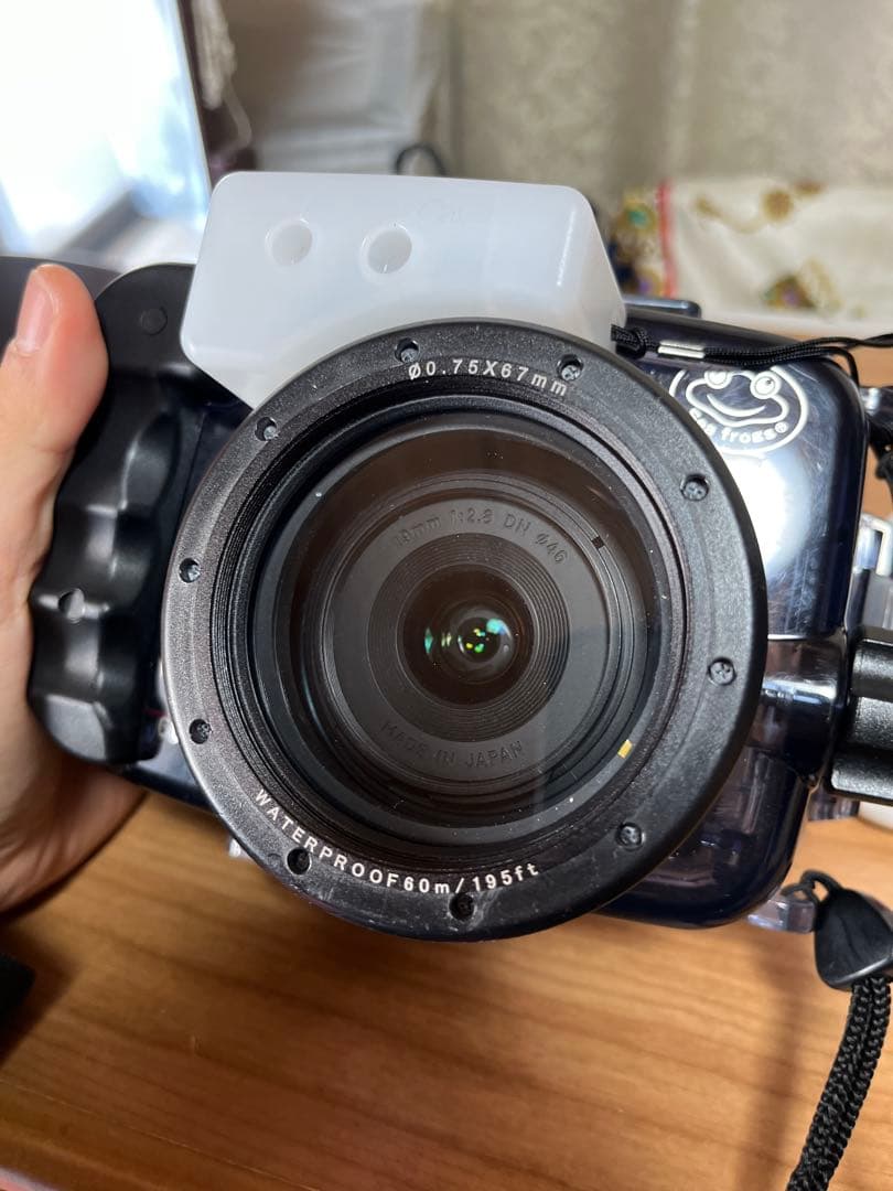 SONY α6400 + Sigma 19mm f2.8 + 水中ケージ