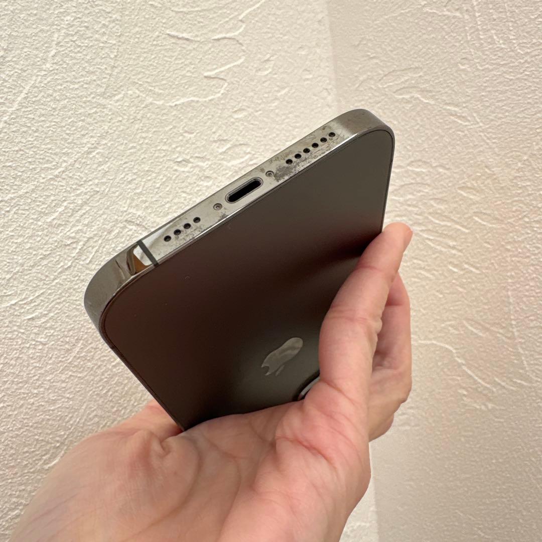 moshi　　iPhone12 pro max 128GB