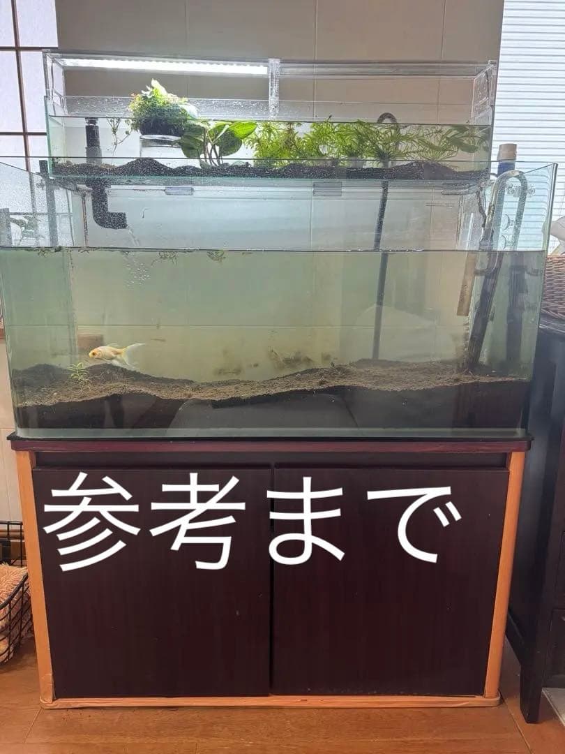 その1大型水槽 (ガラス水槽 オーバーフロー水槽　キャビネットセット)