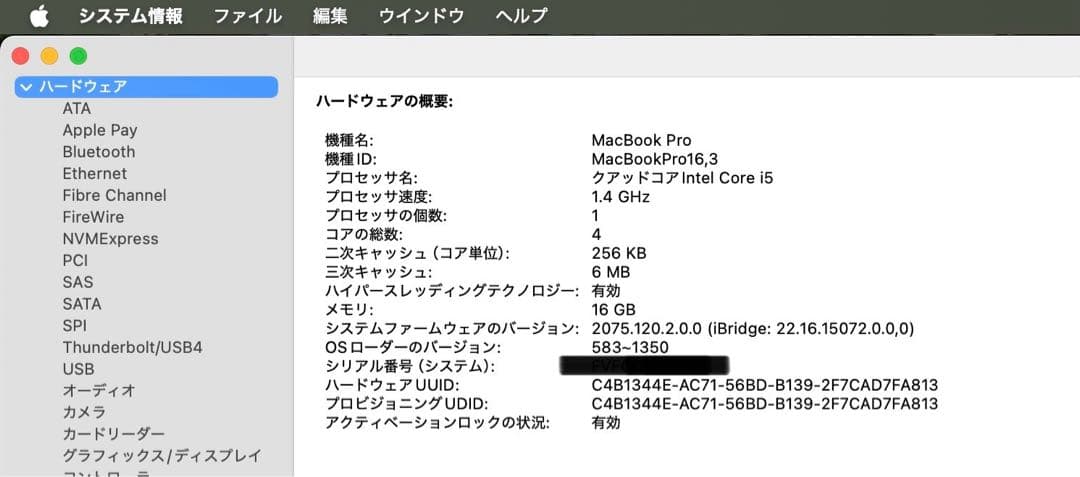 MacBook本体 MacBook Pro13inch 2020 16GB