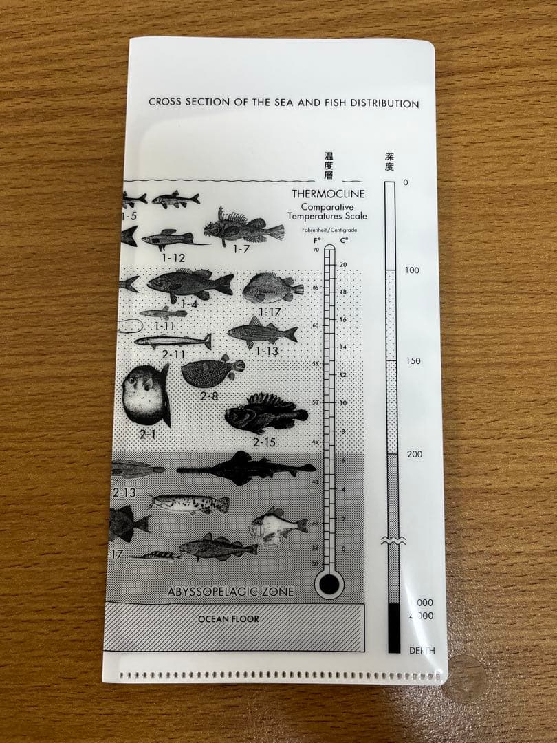 サカナクション　魚図鑑 （初回生産限定盤A）【2CD+Blu-ray+魚図鑑】