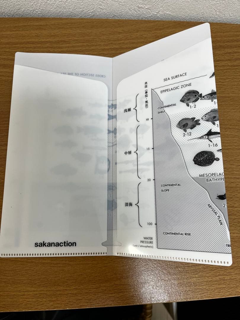 サカナクション　魚図鑑 （初回生産限定盤A）【2CD+Blu-ray+魚図鑑】