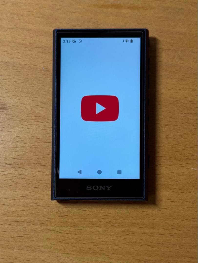 SONY NW-A306 デジタルオーディオプレーヤー　純正シリコンケース付