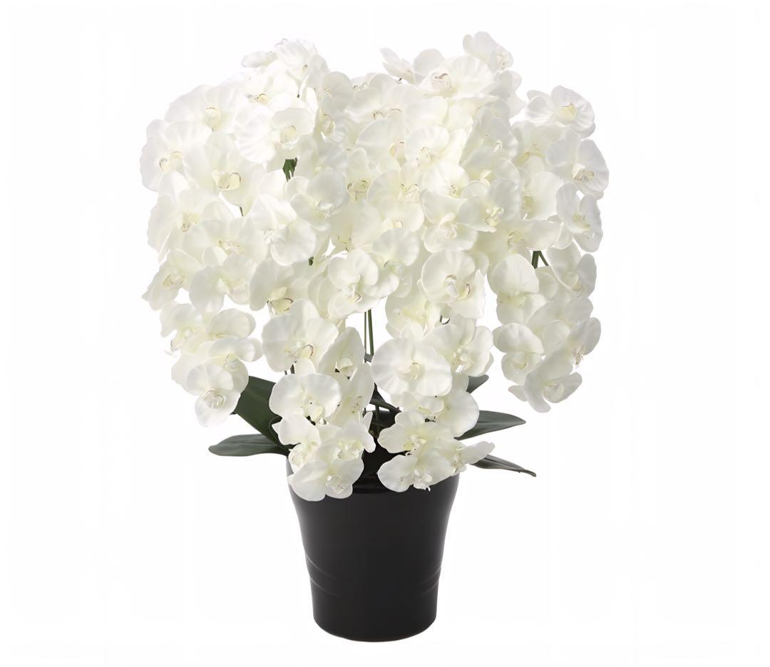 光触媒　観葉植物　ウォールグリーン　フェイクグリーン　プレミアム胡蝶蘭7本立W