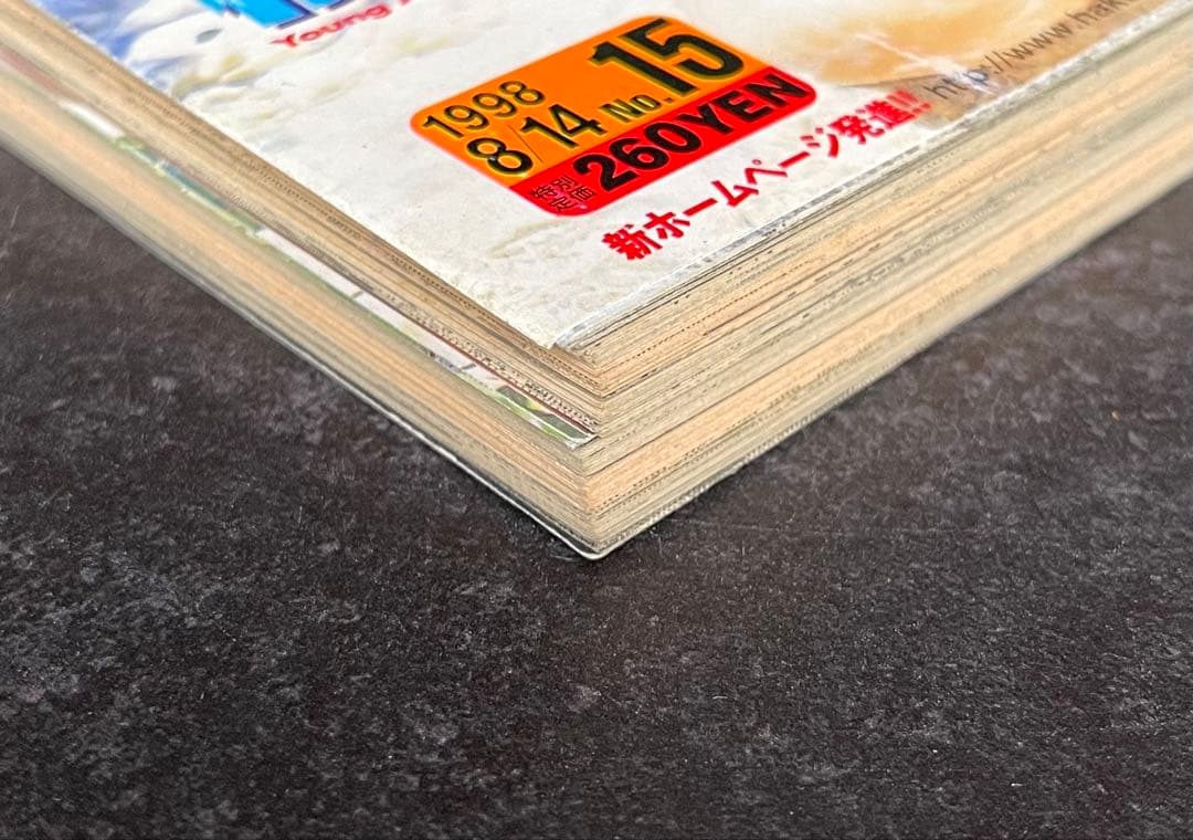 ●ヤングアニマル 1998年 15号 ●巻頭カラー···ベルセルク 第124話