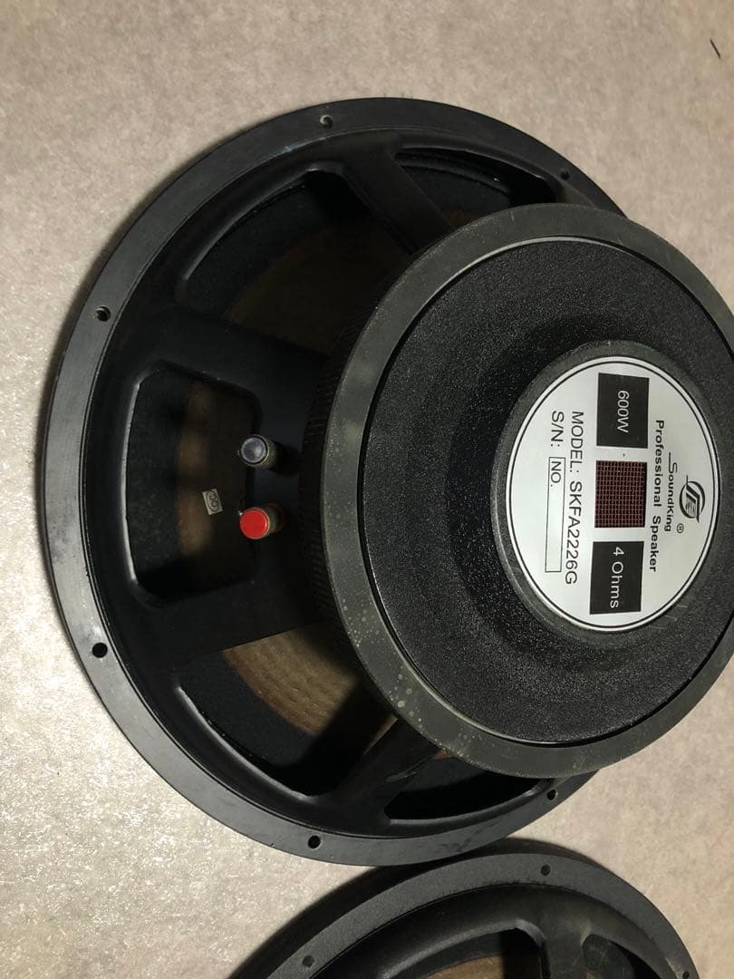 サウンドキング MODEL:SKFA2226G 600W 音出し確認済み