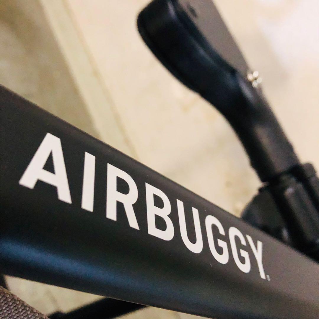 F25 美品！エアバギー ペットカート ドーム3 フレーム単体 ペットキャリー