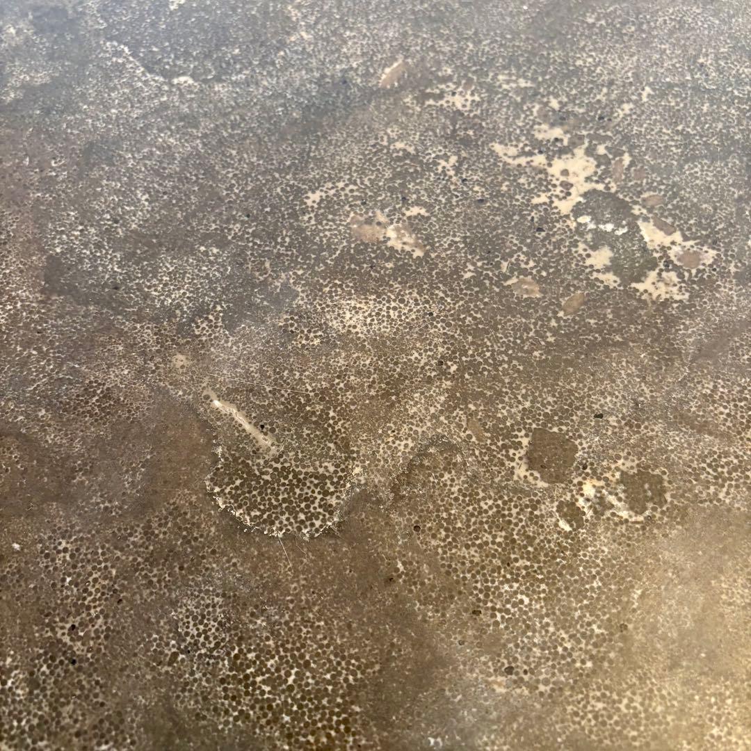 サイドテーブル・ナイトテーブル・ローテーブル Knot antiques BARK COFFEE TABLE 80