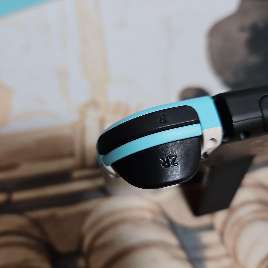 ビ*オ様 ミ*シ様 Nintendo Switch　あつまれどうぶつの森セット