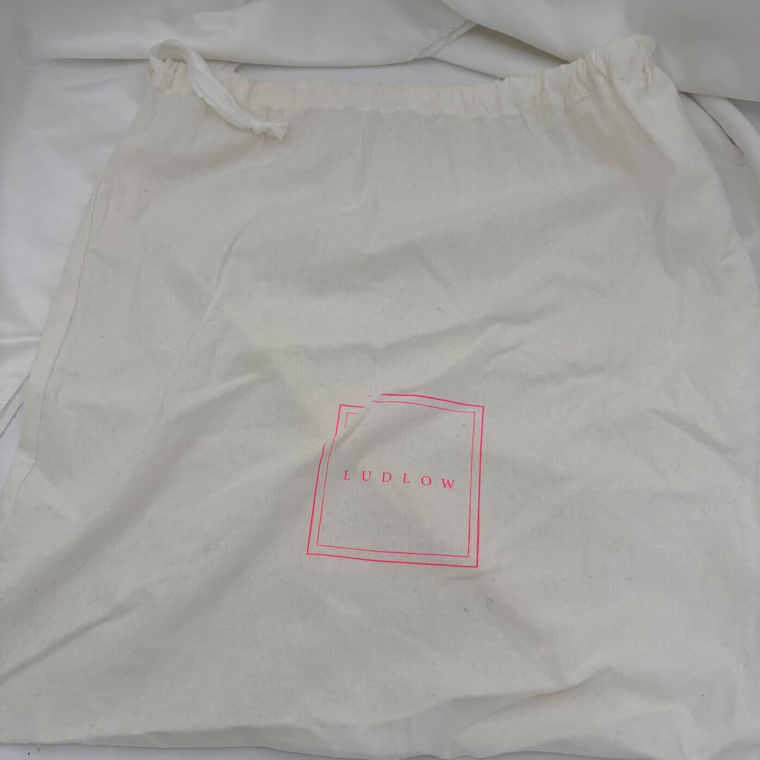 LUDLOW　ラドロー　スワン　コードバッグ