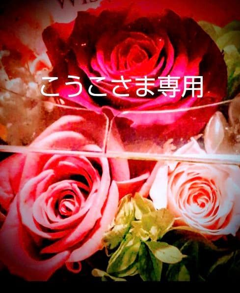 【こうこさま専用】