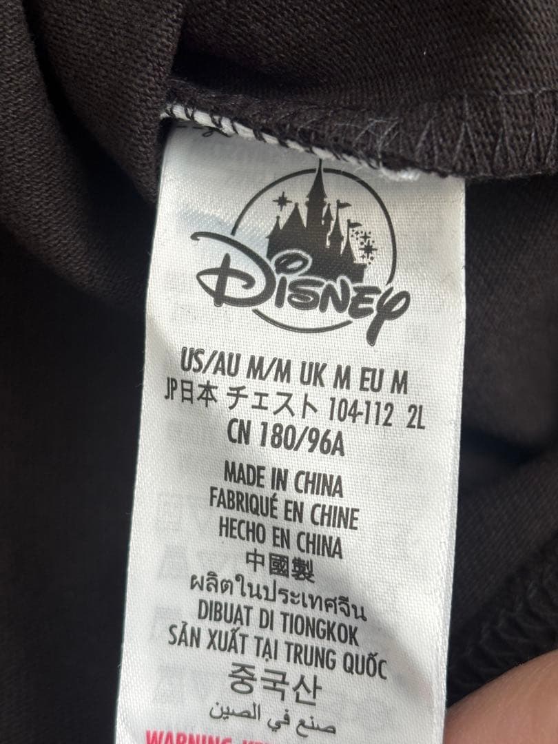 アナハイムディズニーランド70周年スピジャー