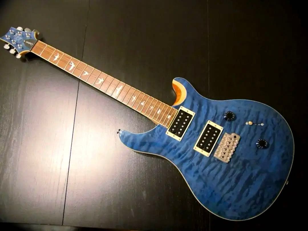 PRS SE Custom 24 セット ケース付