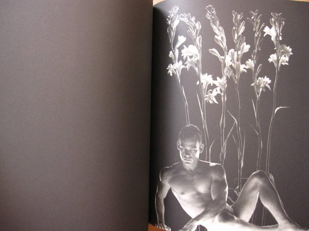 Contraluz / Juan Gatti : ホアン・ガッティ