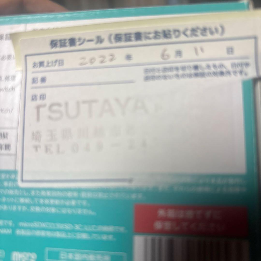 Switch Lite本体 充電器欠品 ピクミン1.2等 すぐに遊べるソフト付き