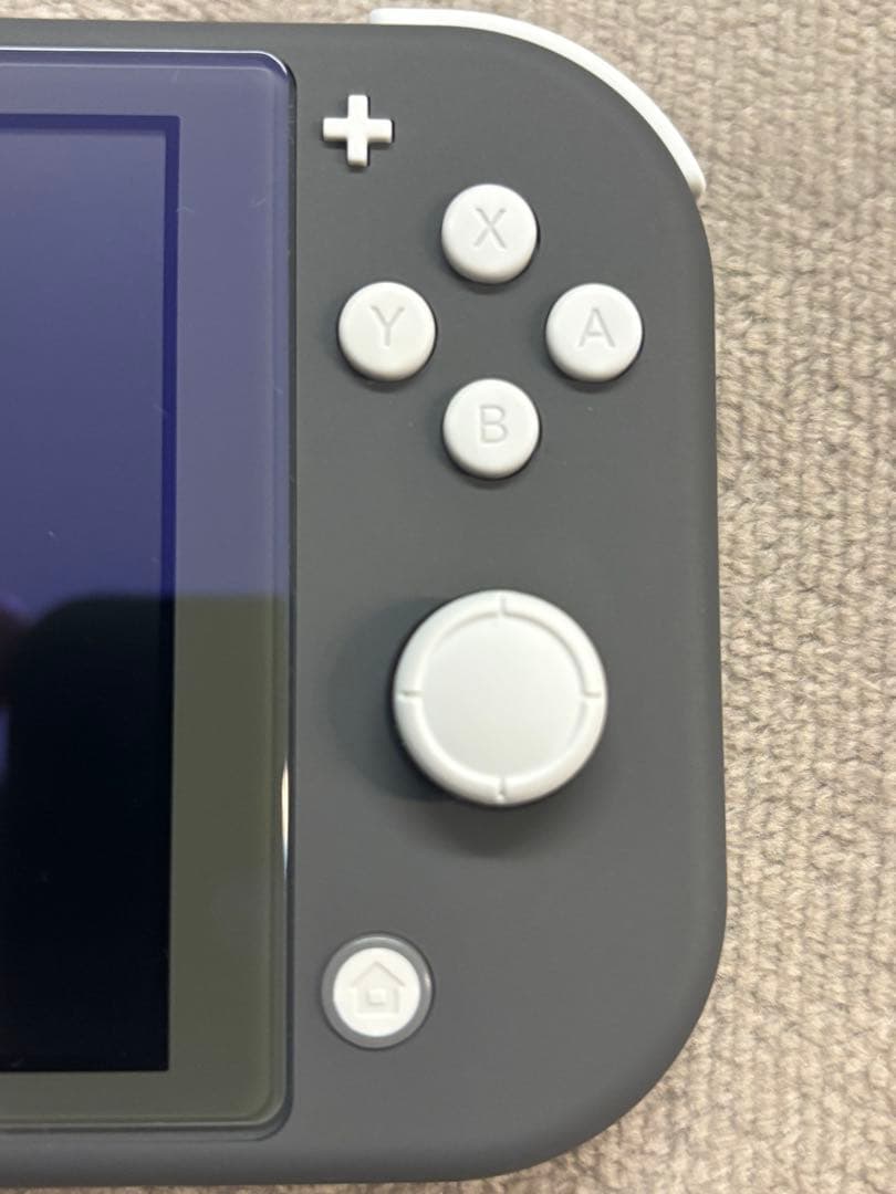 Nintendo Switch Lite グレー ガラスフィルム付き