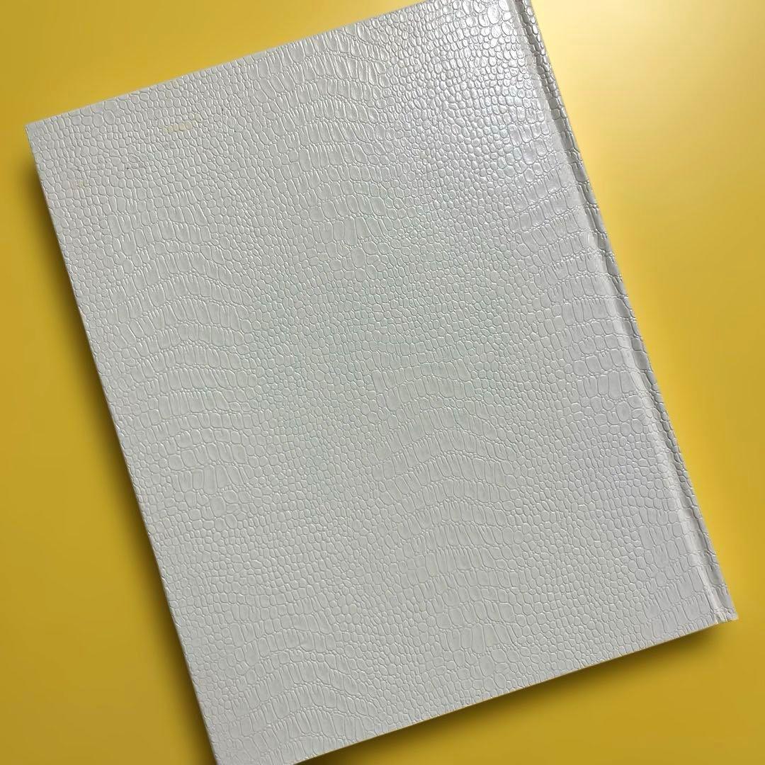 【初版】川内倫子 Rinko Kawauchi 写真集 AILA, アイーラ