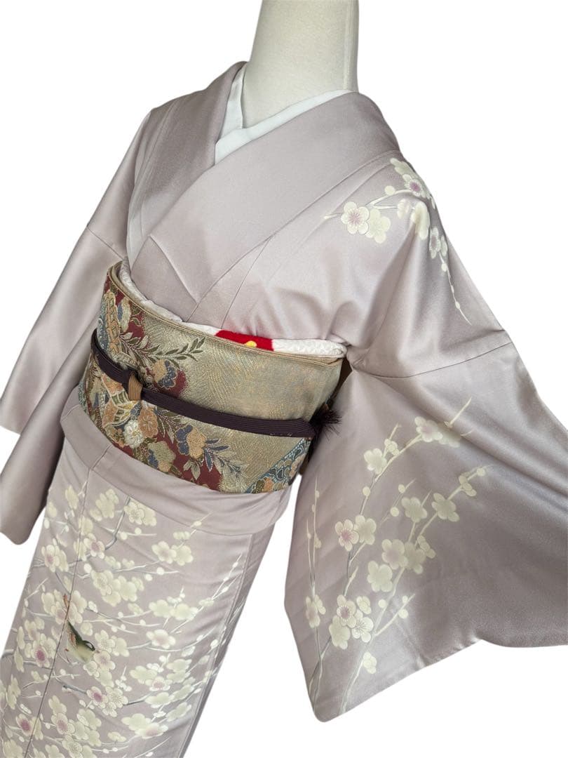 正絹訪問着　友禅染　梅枝　目白