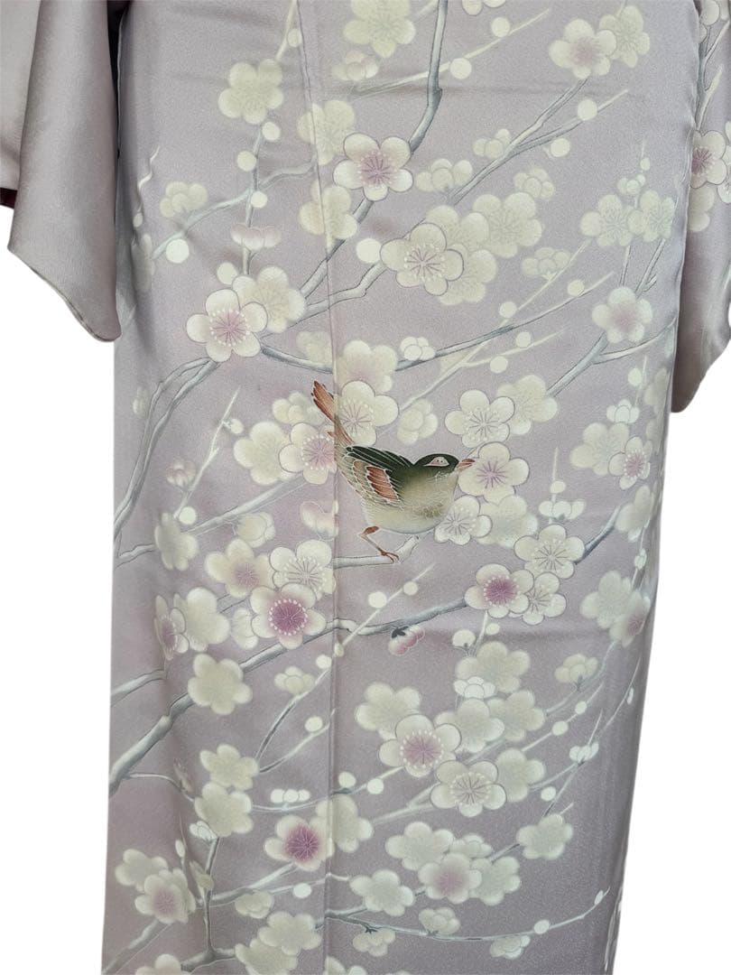 正絹訪問着　友禅染　梅枝　目白