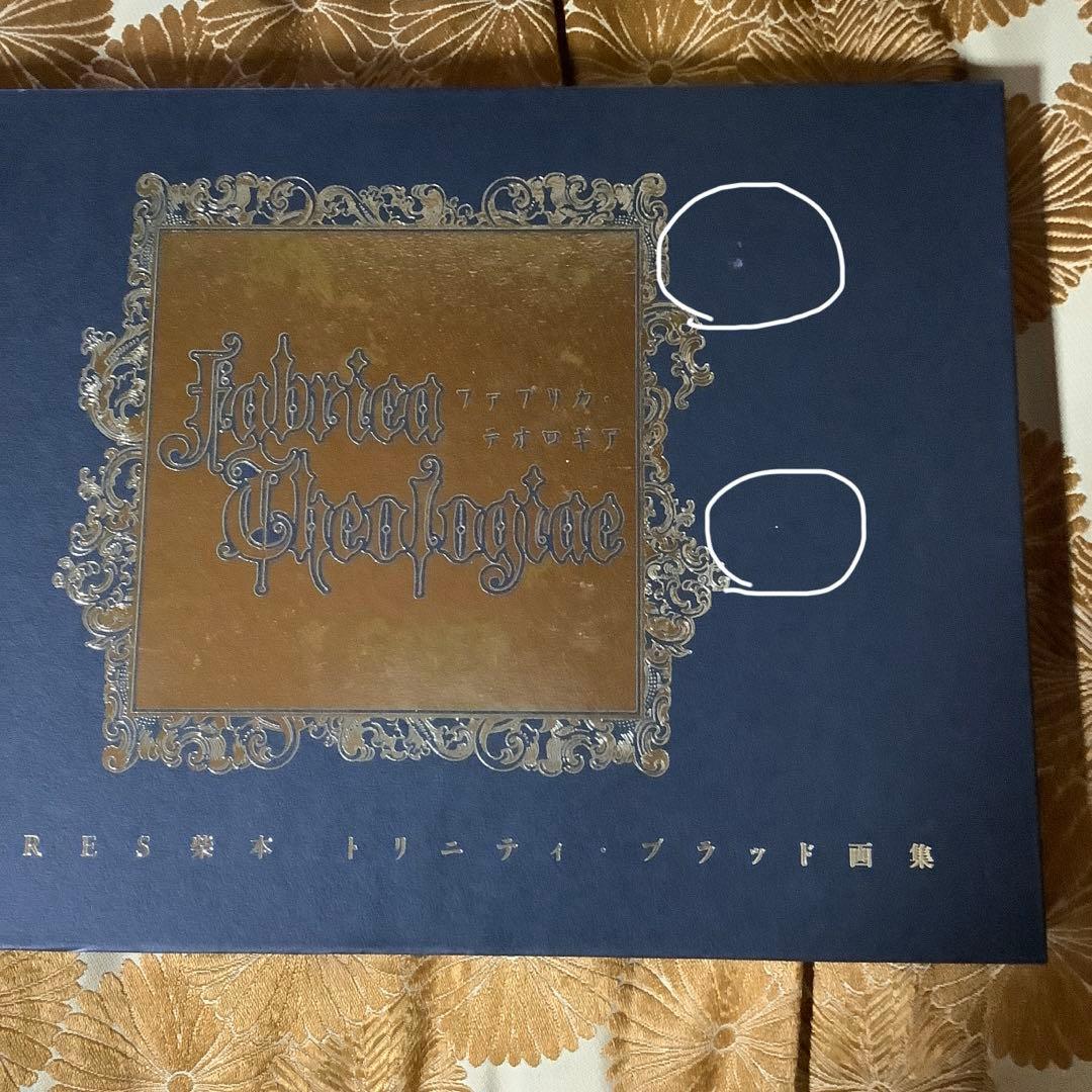 ファブリカ・テオロギア THORES柴本 トリニティ・ブラッド画集　初版