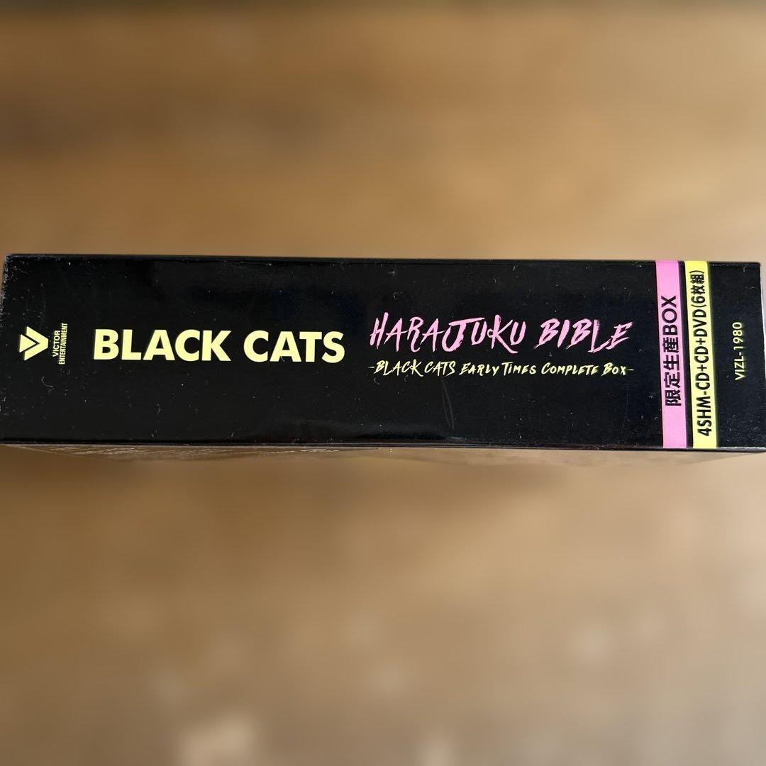 HARAJUKU BIBLE ～BLACK CATS Early Times …