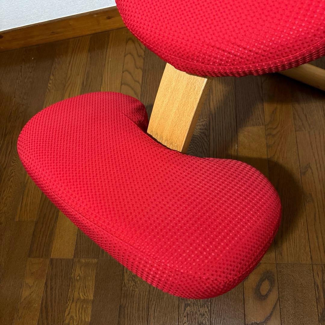 【極美品】 バランスイージー レッド 通常フレーム 防水カバー付き