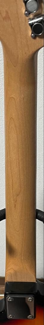 Bacchus バッカス BMS-1R ムスタング サイクロン タイプ