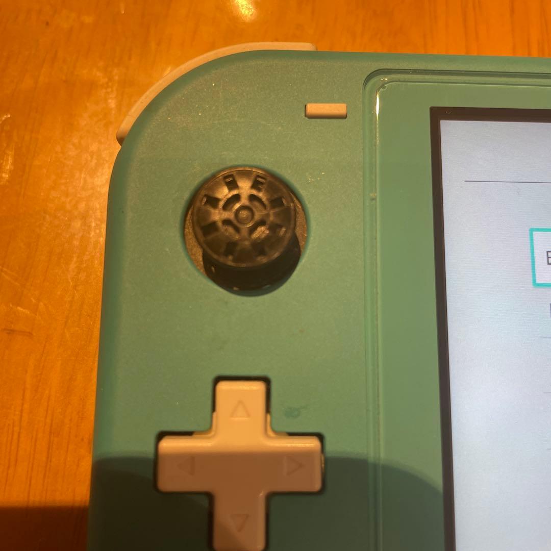 d*9様 Nintendo Switch Lite 本体 中古