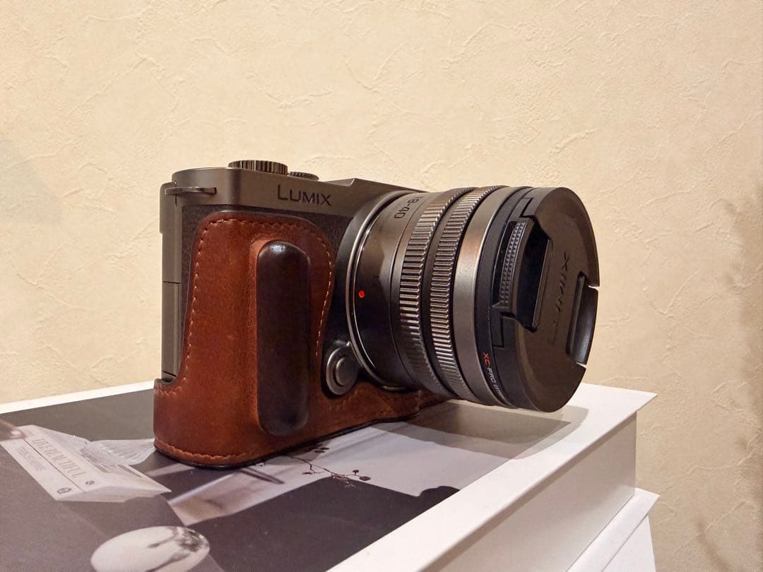 【即日発送可】lumix s9 DC-S9N-N チタンゴールド