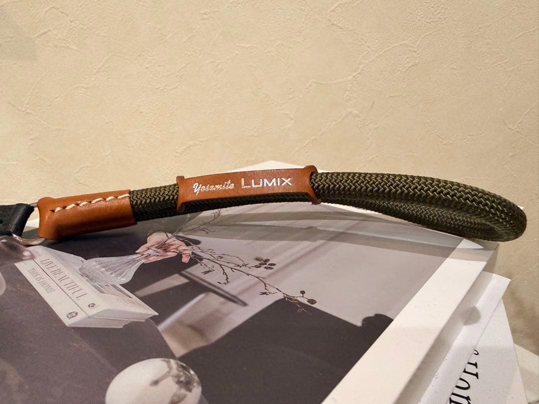 【即日発送可】lumix s9 DC-S9N-N チタンゴールド