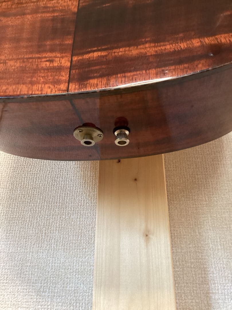 希少！パーラーサイズ エレアコ ハワイアンコア材 タカミネアコースティックギター