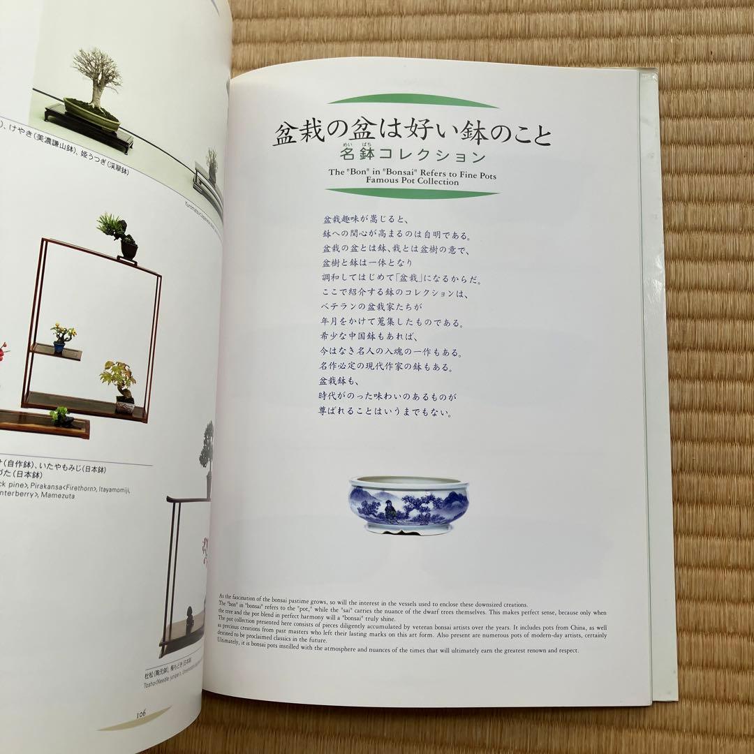 THE MODERN BONSAI 盆栽宇宙