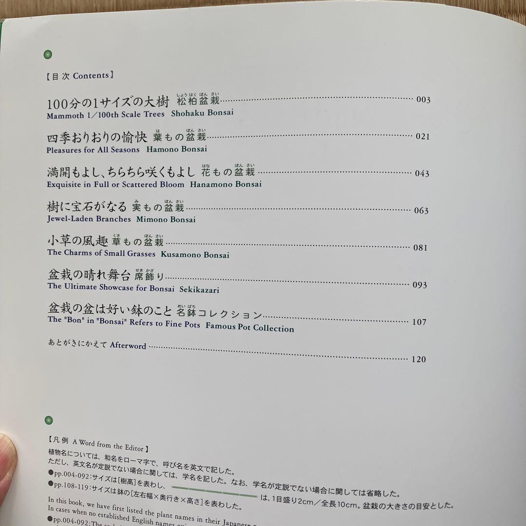 THE MODERN BONSAI 盆栽宇宙