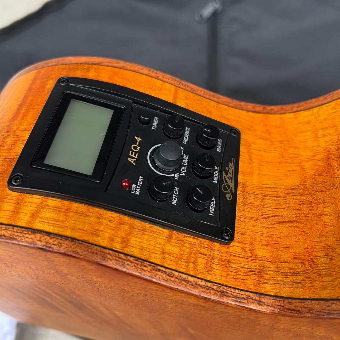 ARIA FET-F2　/アリア　エレアコ