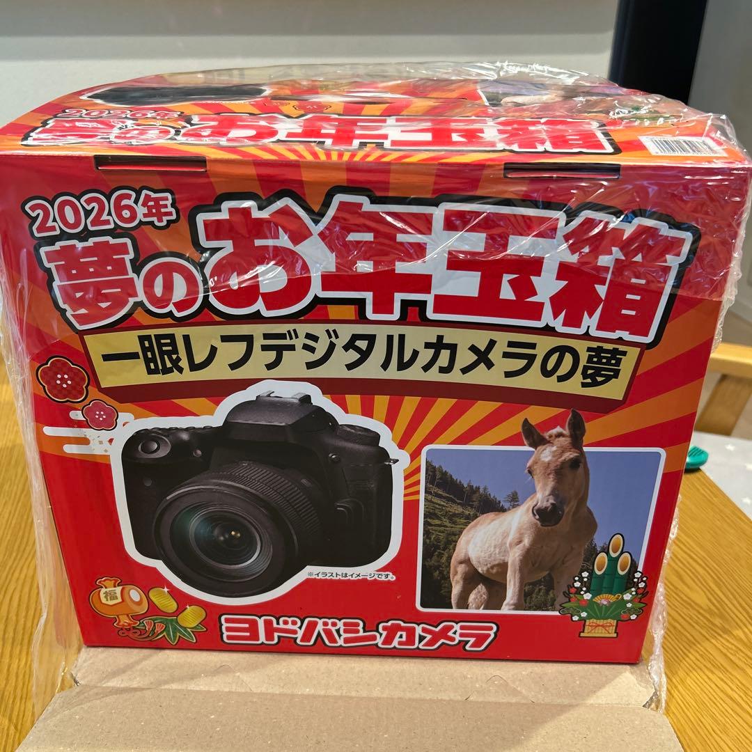 夢のお年玉箱2026 一眼レフデジタルカメラの夢
