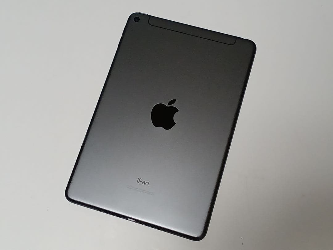 Apple iPad mini 5 / 64GB / セルラー版