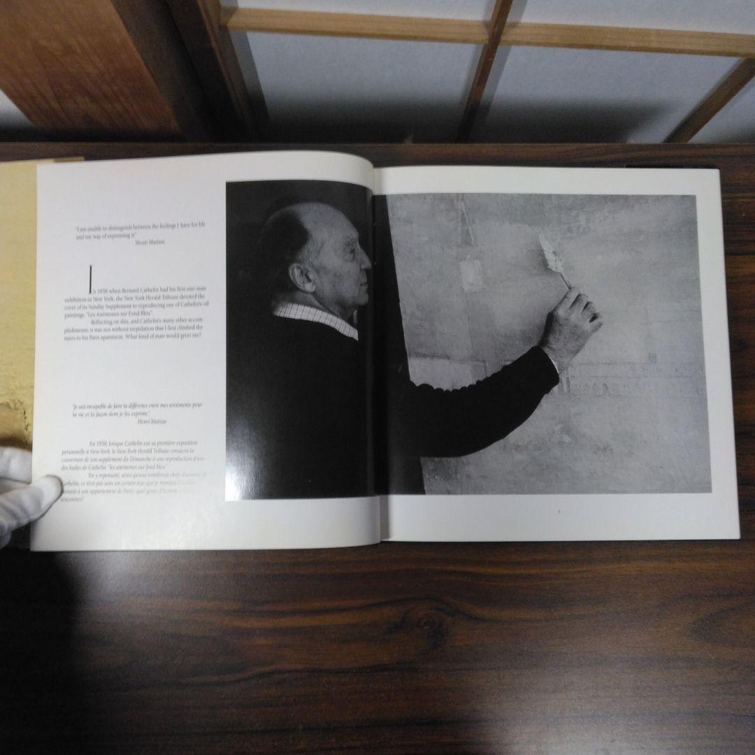 Cathelin　Expressions of Life　洋書　書込みあります。