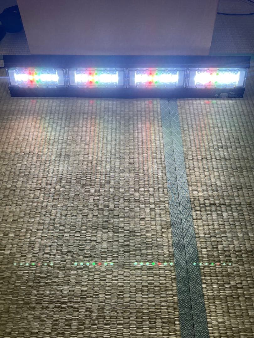 NEMO LIGHT 2 LEDライト