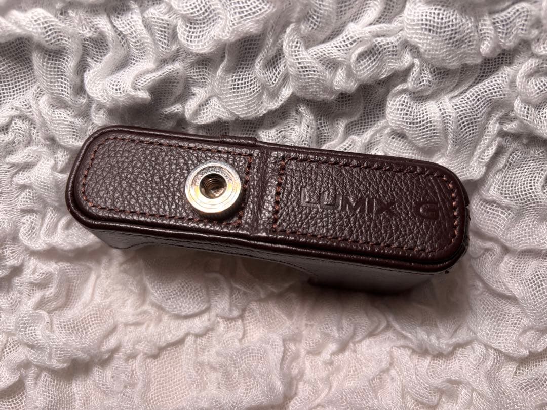 LUMIX DMC-GM1 本体 14mm F2.5 II 美品 レザーケース付