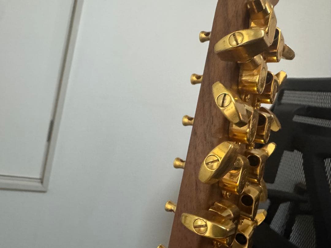 OVATION / Super Adamas 1688-5 ジャンク品