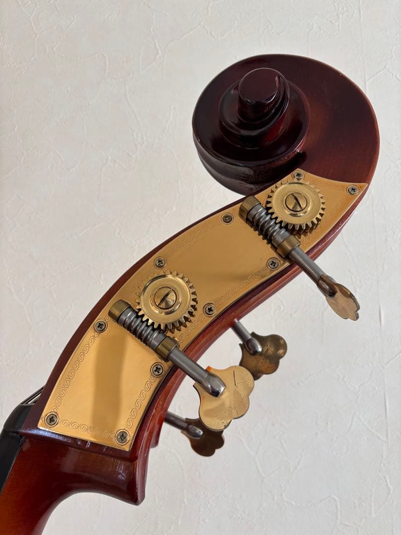 カルロジョルダーノ SB-150 ソフトケース付き　（直接取引限定）