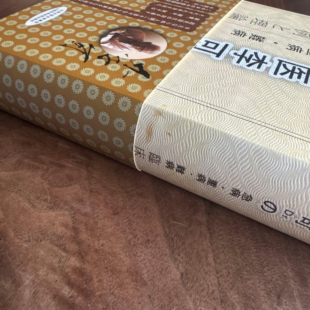 名中医李可Dr.の急病重病難病臨床事例と理論(日本語版)